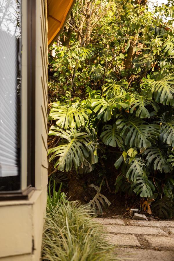 Gamai Monteverde Tiny House Eksteriør billede